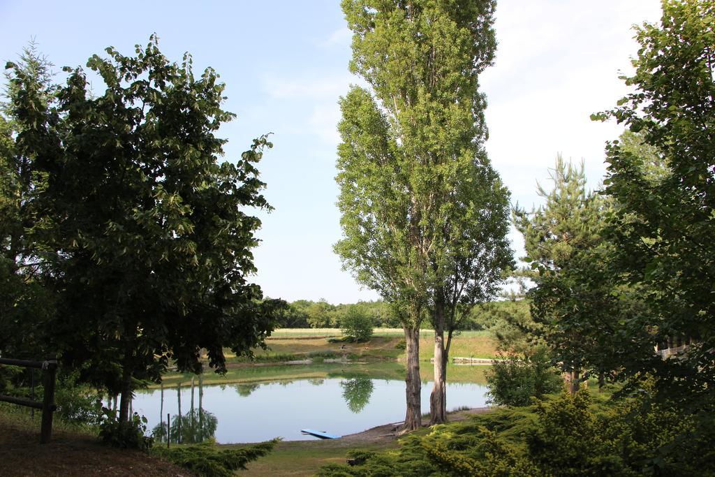 הוילה Biltzheim La Cle Des Champs חדר תמונה