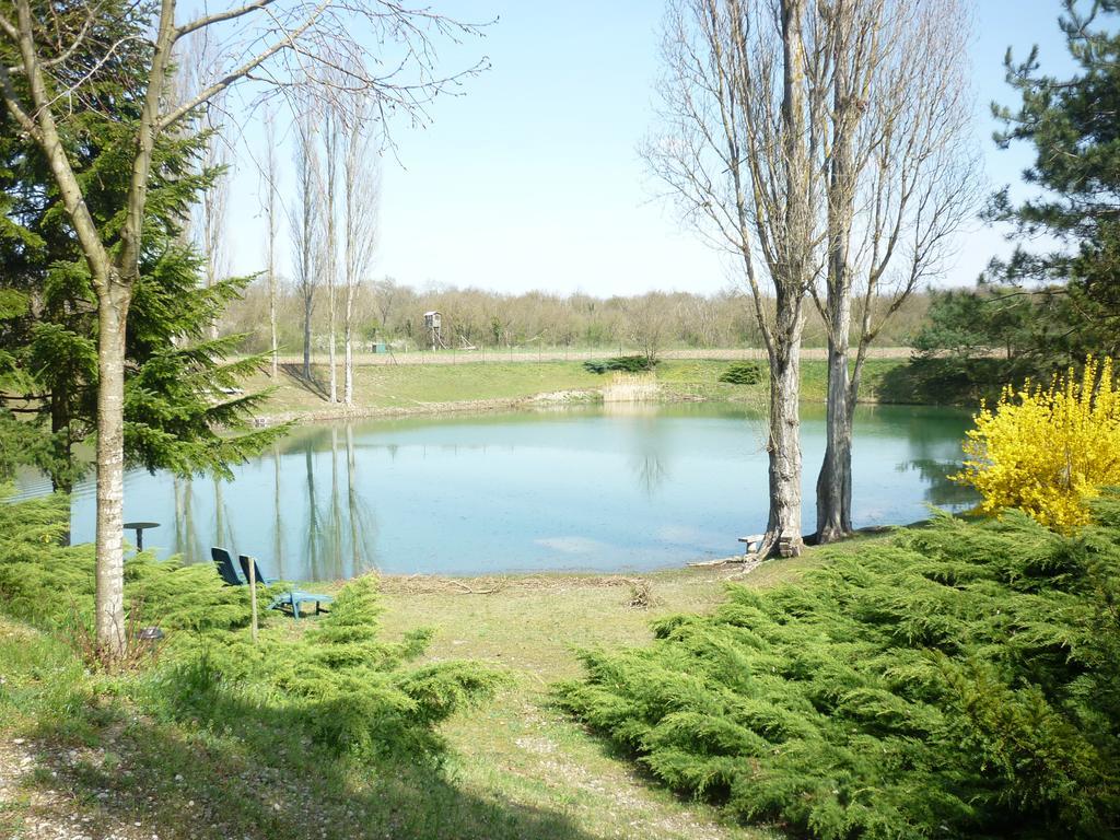 הוילה Biltzheim La Cle Des Champs מראה חיצוני תמונה